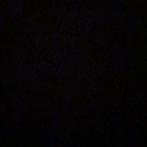 Meet your Posher, Damaris